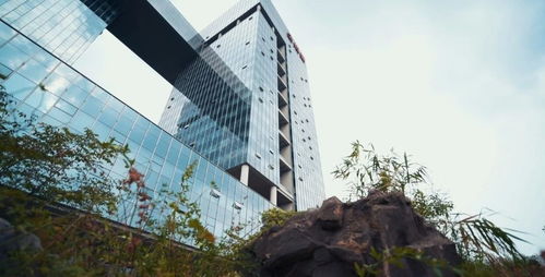 系統(tǒng)性創(chuàng)新 金螳螂的雙輪驅(qū)動——裝配式裝修與BIM模式的建筑材料技術(shù)開發(fā)